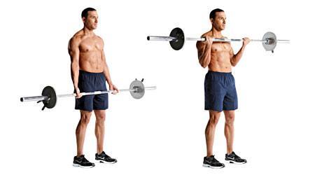 barbell-curl1.jpg